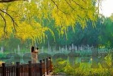 11足球比分赛换人-足球赛场风云变幻，11人制足球比分赛中的换人艺术与策略解析