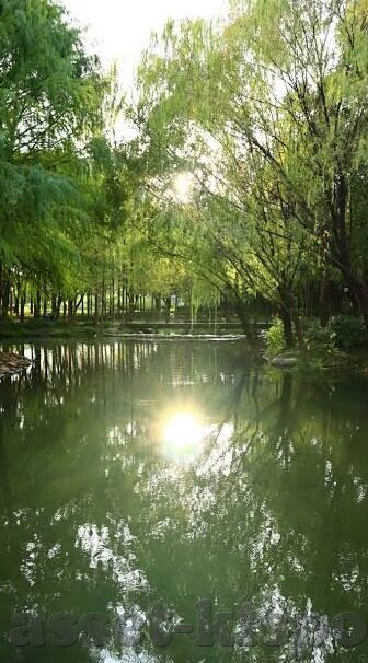 九游劲舞团手游下载-霓虹舞步，指尖跃动，九游劲舞团手游下载体验分享