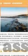 世界杯 全解析 阿根廷-世界杯全解析，阿根廷的足球传奇